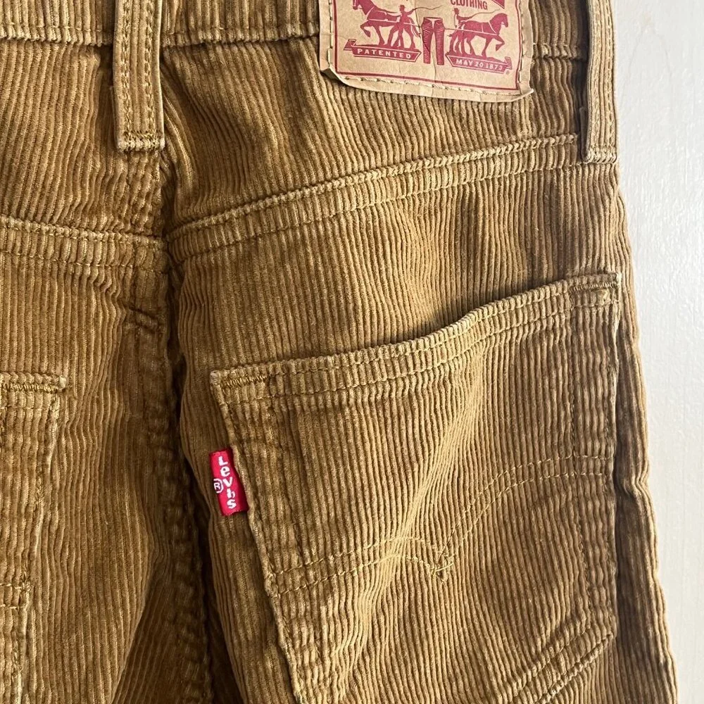Levi’s Unisex Size 24 ‘94 Baggy High Rise‎ Corduroy Pants Brown Tan